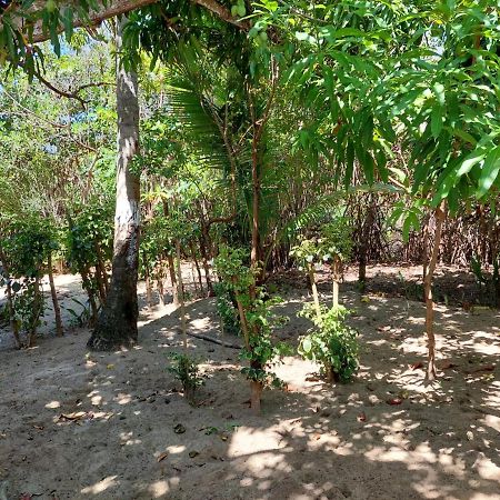 Cabana Playa Cambiaso Bed & Breakfast Puerto Plata Eksteriør bilde