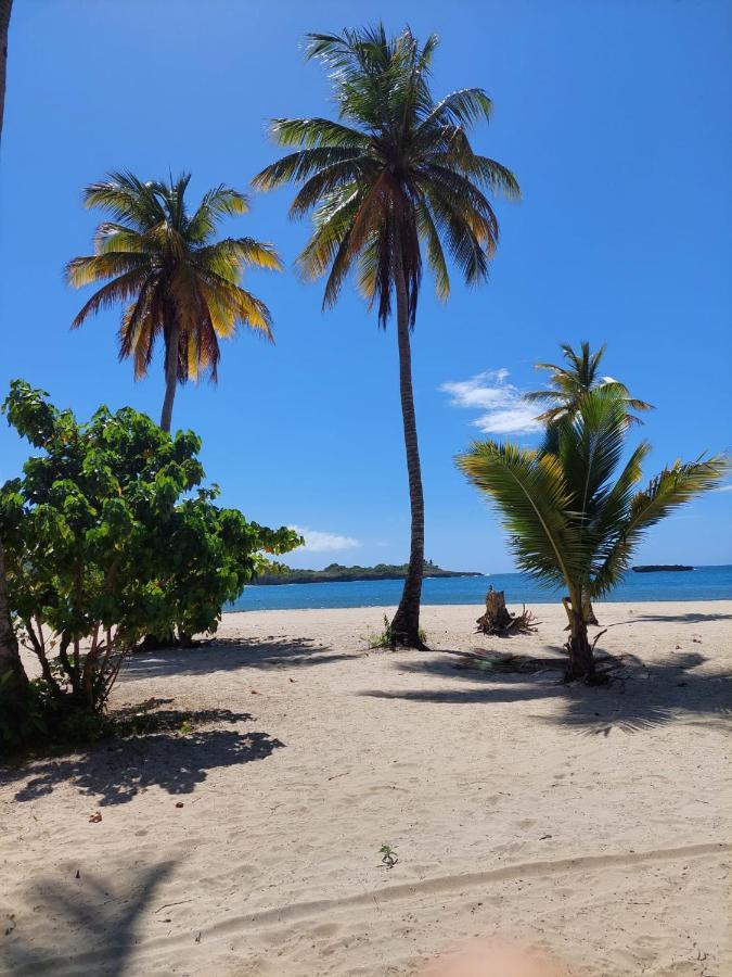 Cabana Playa Cambiaso Bed & Breakfast Puerto Plata Eksteriør bilde