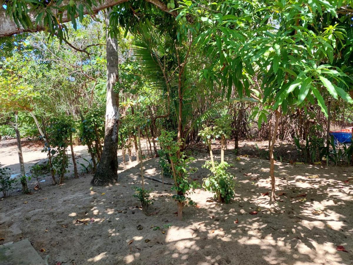 Cabana Playa Cambiaso Bed & Breakfast Puerto Plata Eksteriør bilde